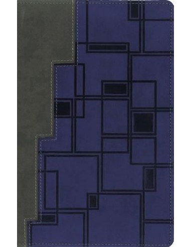 NIV - THINLINE BIBLE FOR TEENS