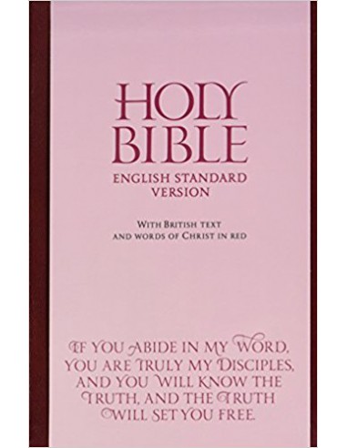 ESV - BIBLE ANGLICISED 