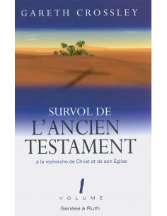 VOL 1 - SURVOL DE L'ANCIEN...