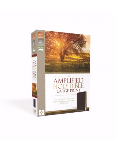 AMP - AMPLIFIED READING BIBLE