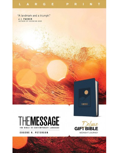 MES - THE MESSAGE - LP