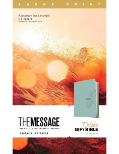 MES - THE MESSAGE - LP