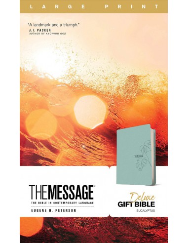 MES - THE MESSAGE - LP