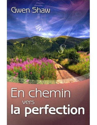EN CHEMIN VERS LA PERFECTION