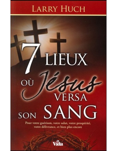 7 LIEUX OU JESUS VERSA SON SANG
