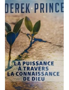 PUISSANCE A TRAVERS LA...