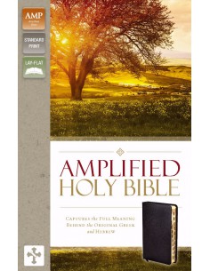 AMP - AMPLIFIED BIBLE