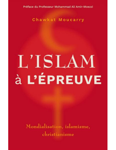 ISLAM A L'EPREUVE, L'
