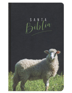 RVR60 - SANTA BIBLIA