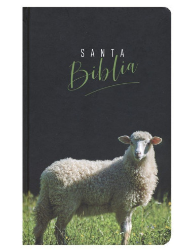 RVR60 - SANTA BIBLIA
