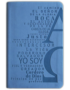 RVR60 - SANTA BIBLIA