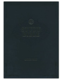 KJV - STUDY BILE LARGE  PRINT
