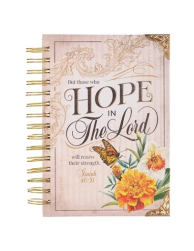 HOPE IN THE LORD  - ISAIAH 40:31