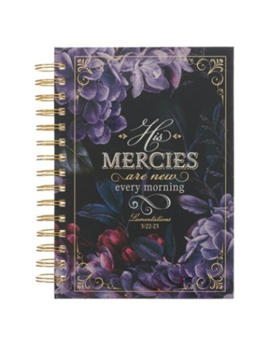 HIS MERCIES ARE NEW LAMENTATIONS 3:22-23