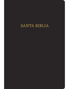 RVR60 - BIBLIA LETRA...