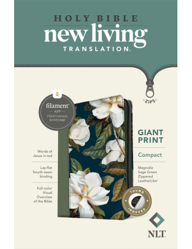 NLT - HOLY BIBLE GIANT PRINT