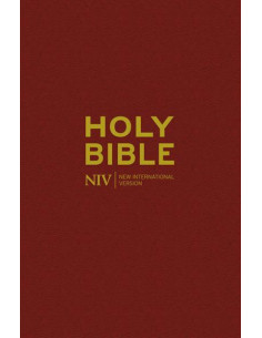NIV - POPULAR BIBLE