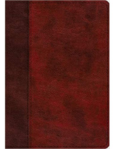 ESV - STUDY BIBLE