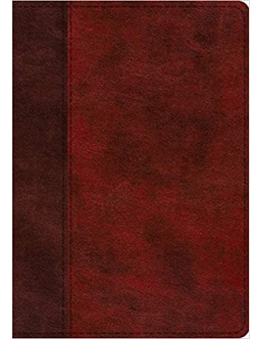 ESV - STUDY BIBLE
