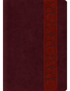 ESV - STUDY BIBLE