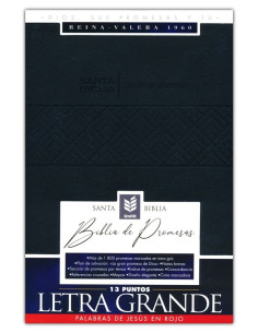 RVR60 - BIBLIA DE PROMESAS...