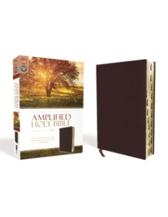 AMPLIFIED HOLY BIBLE -...