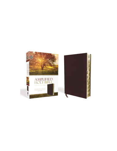 AMPLIFIED HOLY BIBLE - STANDARD PRINT