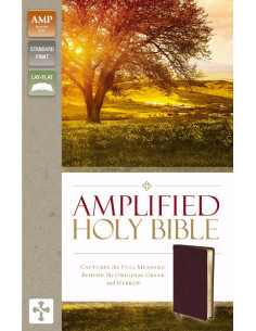 AMP - AMPLIFIED HOLY BIBLE