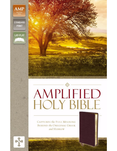 AMP - AMPLIFIED HOLY BIBLE