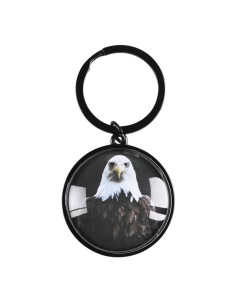 EAGLE - ISAIAH 40:31 