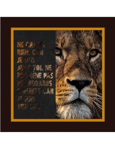 NE CRAIS RIEN CAR JE SUIS AVEC TOI