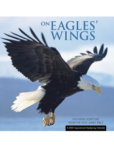 ON EAGLES' WINGS