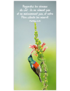 REGARDEZ LES OISEAUX DU CIEL