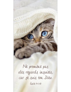 NE PROMENE PAS DES REGARDS...