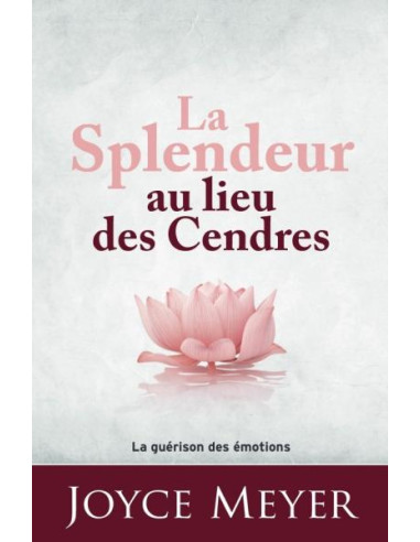 SPLENDEUR AU LIEU DES CENDRES, LA