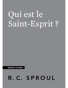 QUI EST LE SAINT-ESPRIT