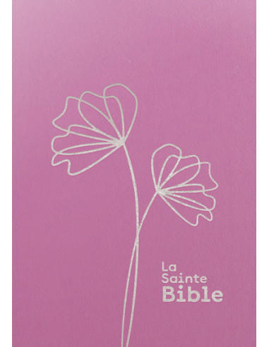 BS - BIBLE SEGOND 1910 - GROS CARACTERES