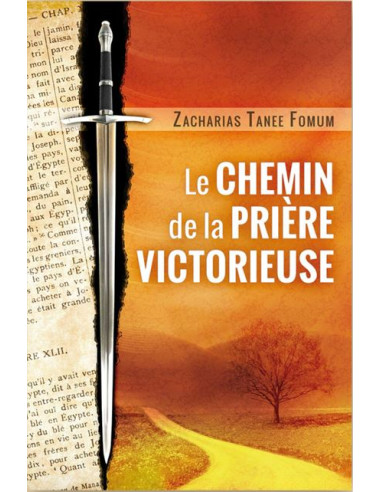 CHEMIN DE LA PRIERE VICTORIEUSE, LE