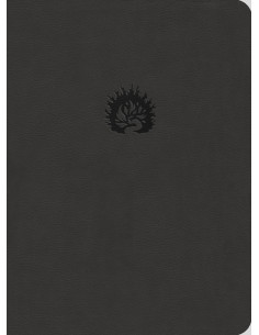 ESV/RSB - REFORMATION STUDY...