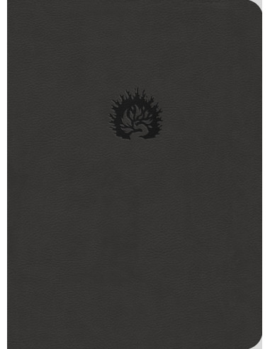 ESV/RSB - REFORMATION STUDY BIBLE