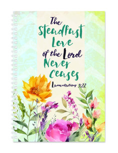 STEADFAST LOVE - LAM. 3:22