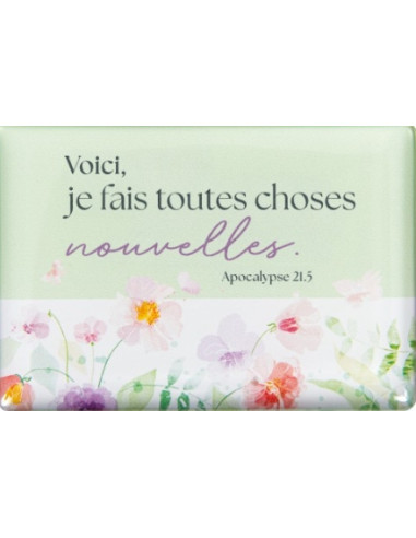 VOICI JE FAIS TOUTES CHOSES NOUVELLES