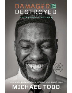 DAMAGED BUT NOT DESTROYED