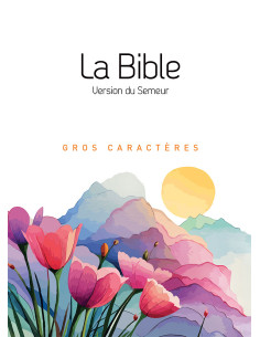 BDS2015 - BIBLE SEMEUR GROS...