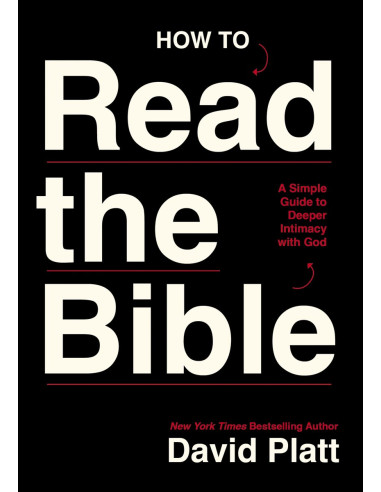 HOW TO READ THE BIBLE