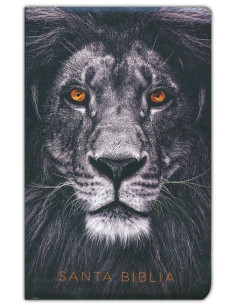 RVR60 - SANTA BIBLIA  LETRA...