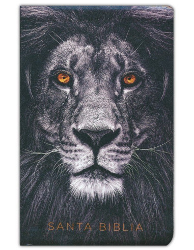 RVR60 - SANTA BIBLIA  LETRA GRANDE