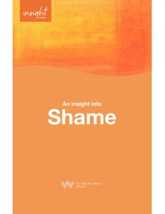 INSIGHT INTO SHAME, AN