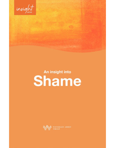 INSIGHT INTO SHAME, AN