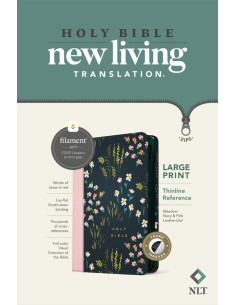 NLT -  LARGE PRINT THINLINE...